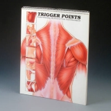 Trigger Points - Anatomical Chart Company