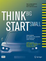 Think Big, Start Small - 