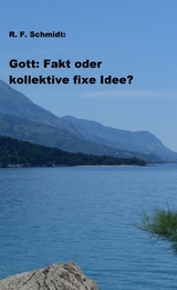 Gott: Fakt oder kollektive fixe Idee? - R. F. Schmidt