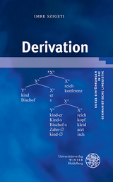 Derivation - Imre Szigeti