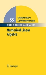 Numerical Linear Algebra -  Gregoire Allaire,  Sidi Mahmoud Kaber