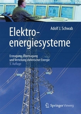 Elektroenergiesysteme - Schwab, Adolf J.