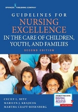 Guidelines for Nursing Excellence in the Care of Children, Youth, and Families - Betz, Cecily; Krajicek, Marilyn; Craft-Rosenberg, Martha