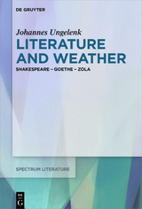 Literature and Weather - Johannes Ungelenk