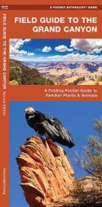 Field Guide to the Grand Canyon - Kavanagh, James; Press, Waterford