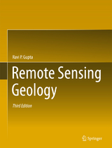 Remote Sensing Geology - Gupta, Ravi P.