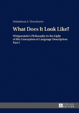 What Does It Look Like? - Sebastiaan A. Verschuren