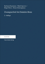 Zwangsarbeit bei Daimler-Benz - Barbara Hopmann, Mark Spoerer, Birgit Weitz, Beate Brüninghaus