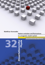 Pattern evolution and fluctuations in a magnetic model system - Matthias Kronseder