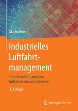 Industrielles Luftfahrtmanagement - Hinsch, Martin