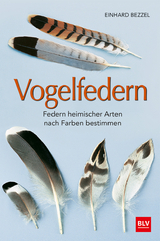 Vogelfedern - Bezzel, Einhard