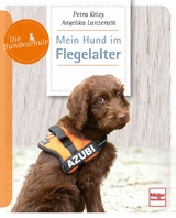 Mein Hund im Flegelalter - Angelika Lanzerath, Petra Krivy