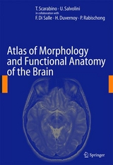 Atlas of Morphology and Functional Anatomy of the Brain - 