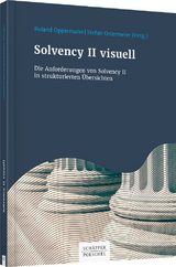 Solvency II visuell - 