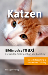 Bildimpulse maxi: Katzen - Bodo Pack