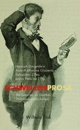 Schwellenprosa - 