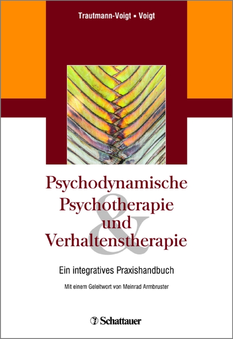 Psychodynamische Psychotherapie und Verhaltenstherapie - 