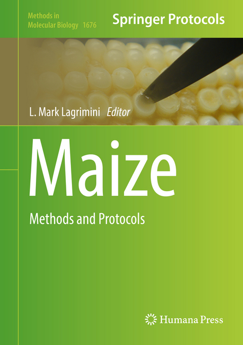 Maize - 