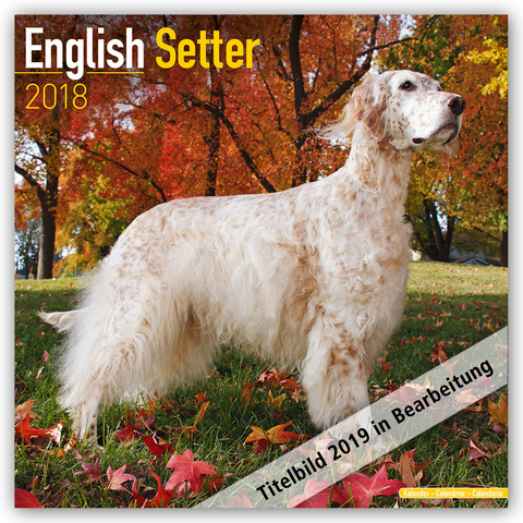 English Setter Calendar 2019 -  Avonside Publishing Ltd