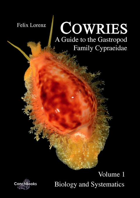 Cowries - A Guide to the Gastropod Family Cypraeidae - Felix Lorenz