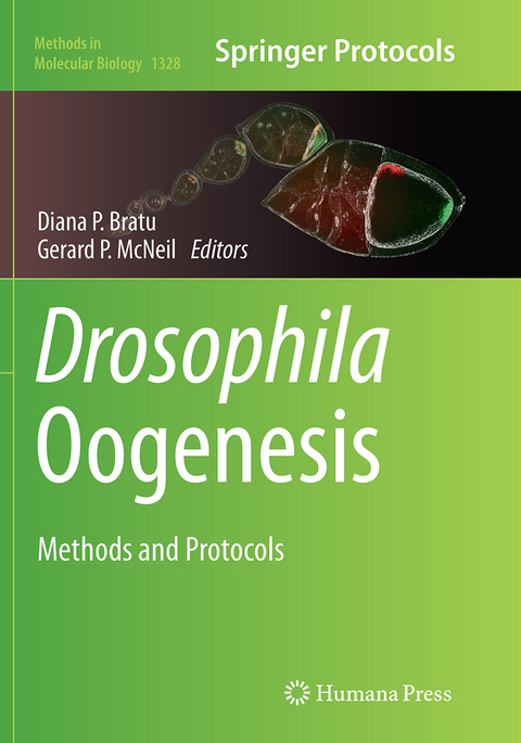 Drosophila Oogenesis - 