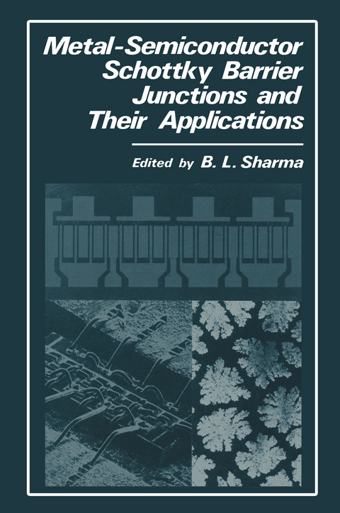 Metal-Semiconductor Schottky Barrier Junctions and Their Applications - 