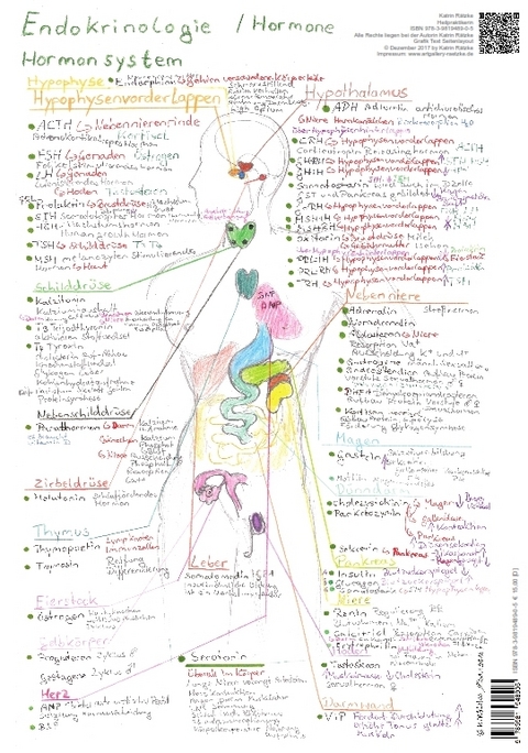 Endokrinologie Hormonsystem - A3 - Katrin Rätzke