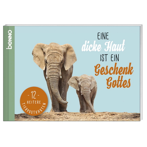 Postkarten-Buch »Eine dicke Haut ist ein Geschenk Gottes« - Jean Paul, Albert Einstein, Charles Dickens