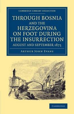 Through Bosnia and the Herzegovina on Foot during the Insurrection, August and September 1875 - Arthur John Evans
