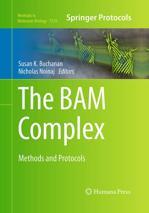 The BAM Complex - 