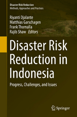 Disaster Risk Reduction in Indonesia - 