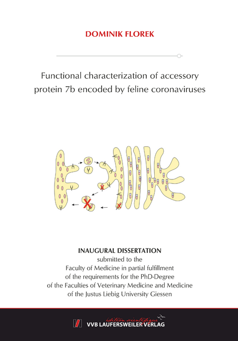 Functional characterization of accessory protein 7b encoded by feline coronaviruses - Dominik Florek