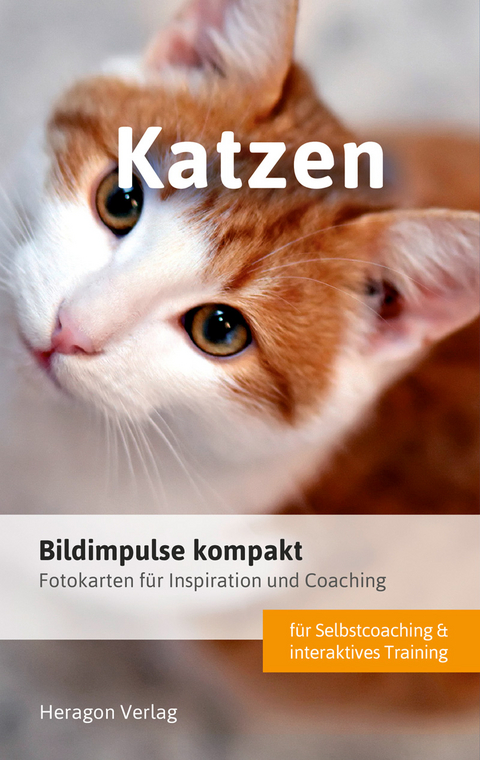 Bildimpulse kompakt: Katzen - Bodo Pack