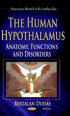 Human Hypothalamus - 
