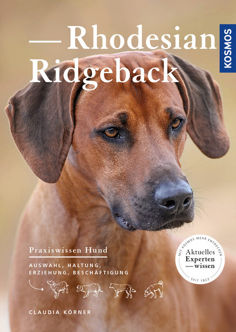 Rhodesian Ridgeback - Claudia Körner