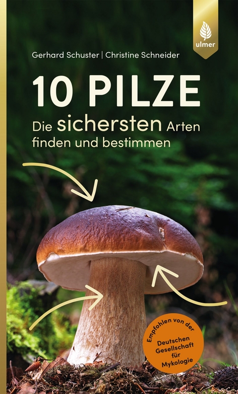 10 Pilze - Gerhard Schuster, Christine Schneider