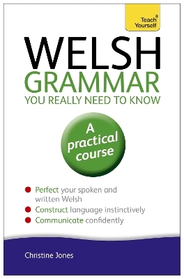 Welsh Grammar You Really Need to Know: Teach Yourself - Christine Jones