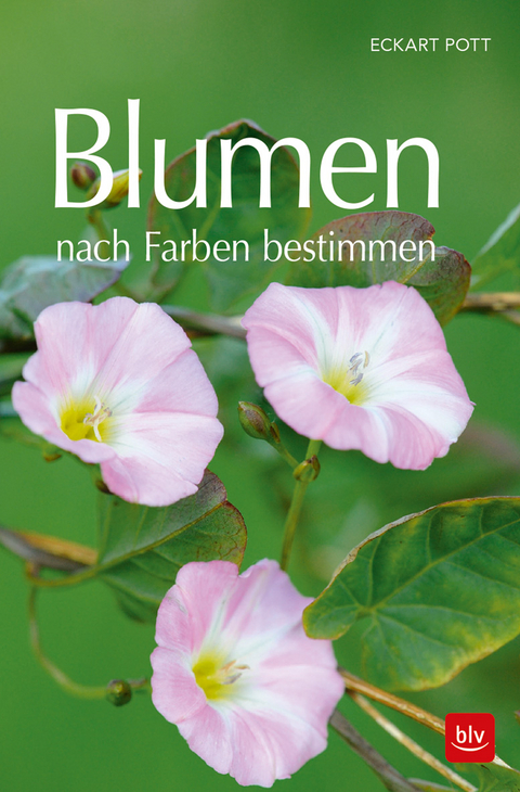 Blumen nach Farben bestimmen - Eckart Pott