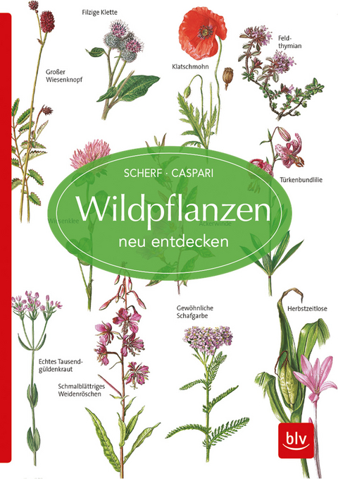Wildpflanzen neu entdecken - Gertrud Scherf, Claus Caspari