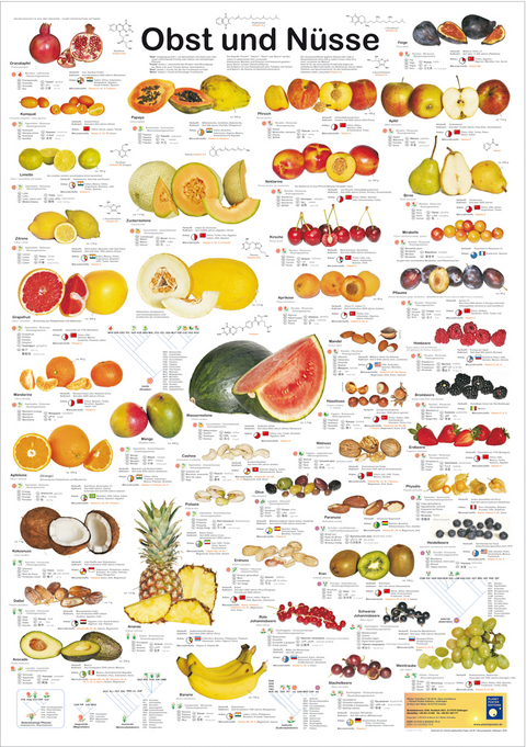 Obst und Nüsse - F W Welter-Schultes