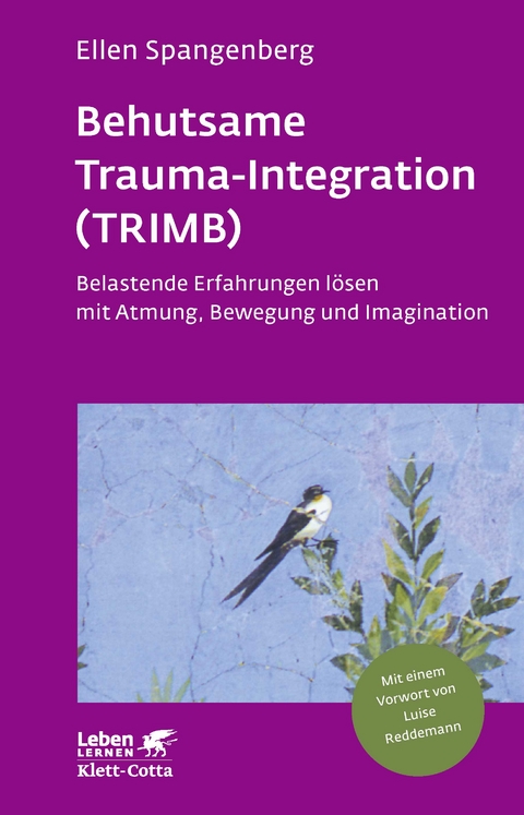 Behutsame Trauma-Integration (TRIMB) (Leben Lernen, Bd. 275) - Ellen Spangenberg