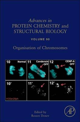 Organisation of Chromosomes