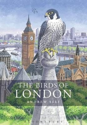 The Birds of London - Mr Andrew Self