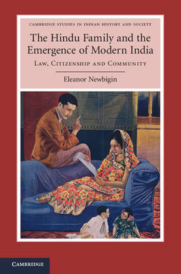 The Hindu Family and the Emergence of Modern India - Eleanor Newbigin