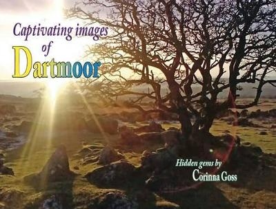 Captivating Images of Dartmoor - Corinna Goss