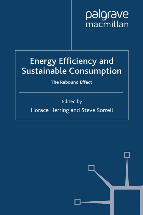 Energy Efficiency and Sustainable Consumption - 