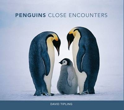 Penguins: Close Encounters - David Tipling