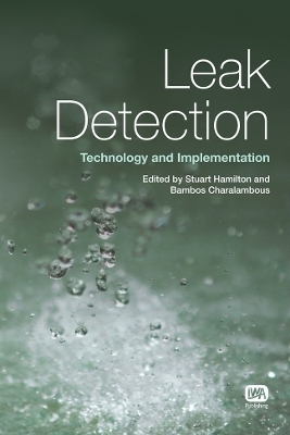 Leak Detection - 