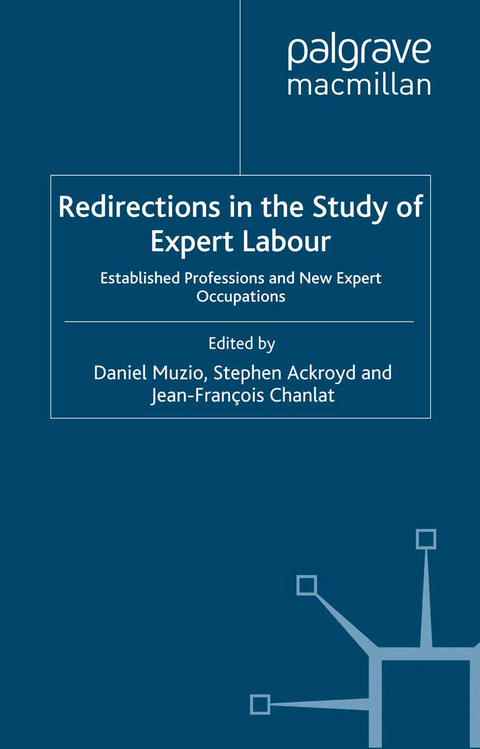 Redirections in the Study of Expert Labour - 