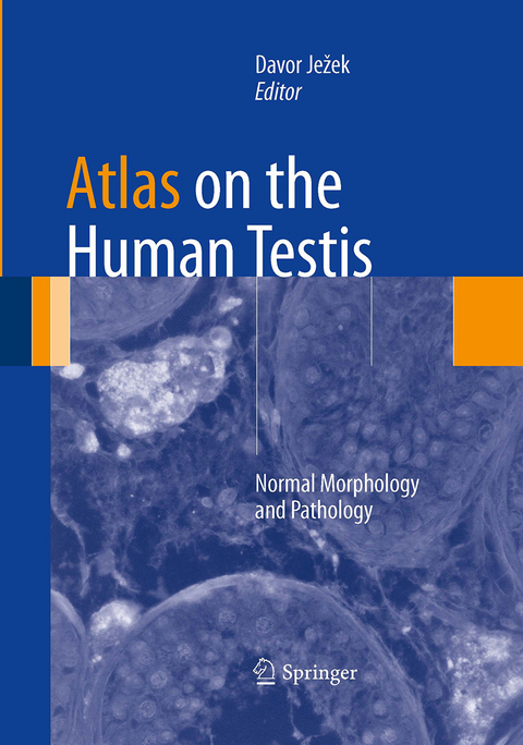 Atlas on the Human Testis - 